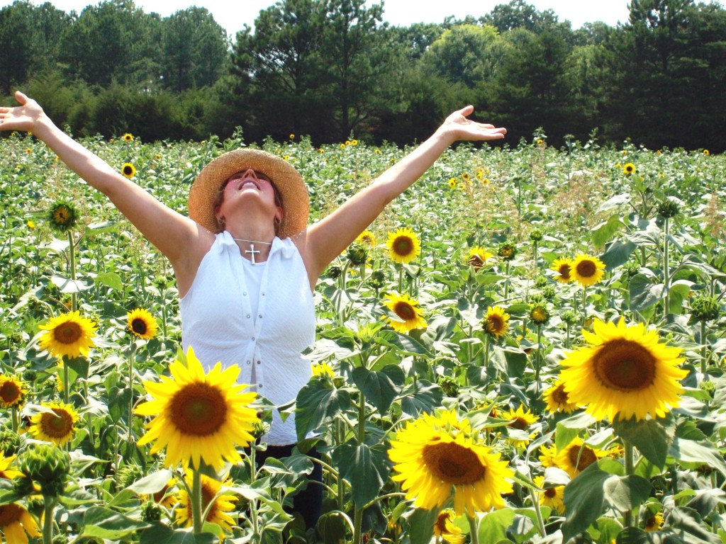 Sunflower Field