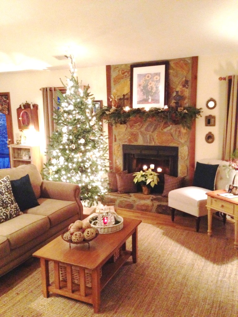 Christmas Decor - 2015 (8)