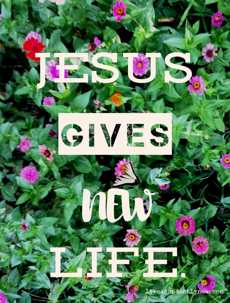 Jesus Gives New Life