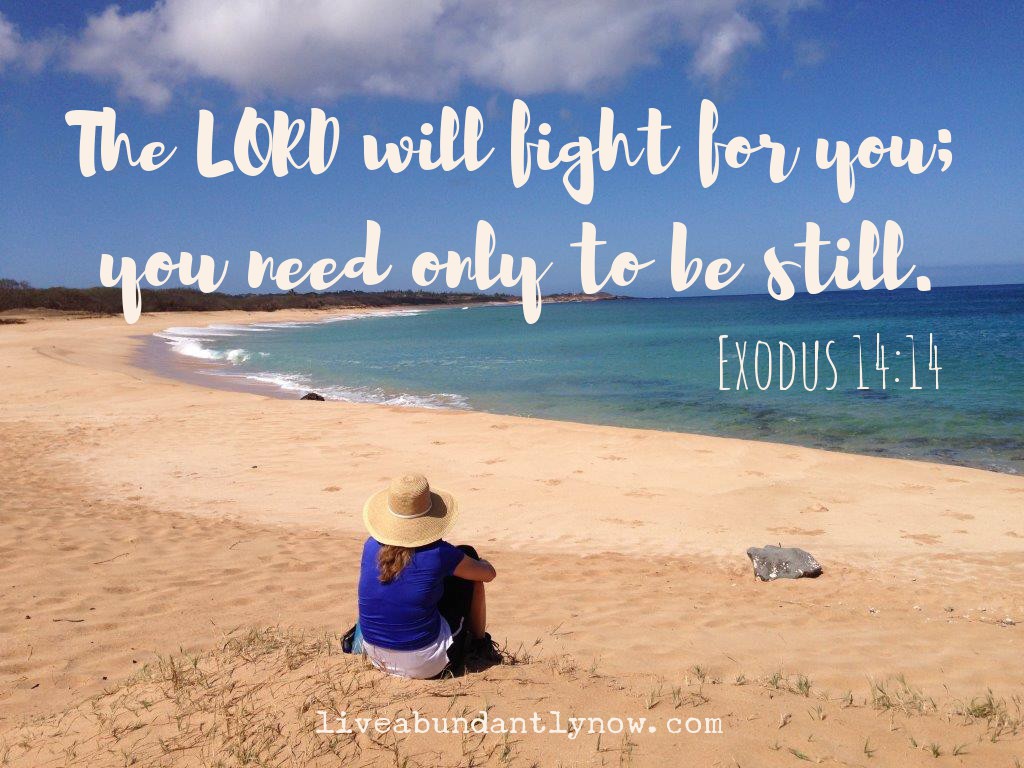 THE LORD WILL FIGHT FOR YOU