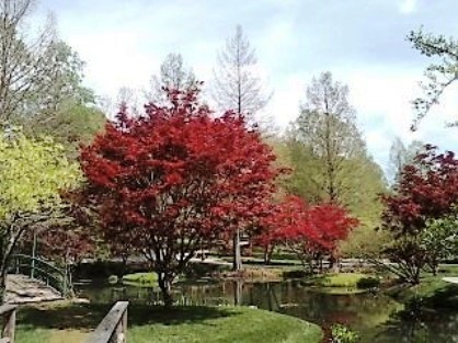 Japanese Garden at Gibbs Gardens